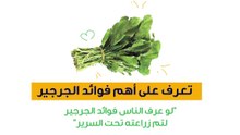 تعرف على أهم فوائد الجرجير