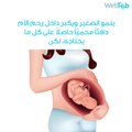 ماذا يقدم الجنين لأمه خلال الحمل