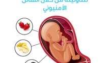 كيف يعيش جنينك داخل الرحم