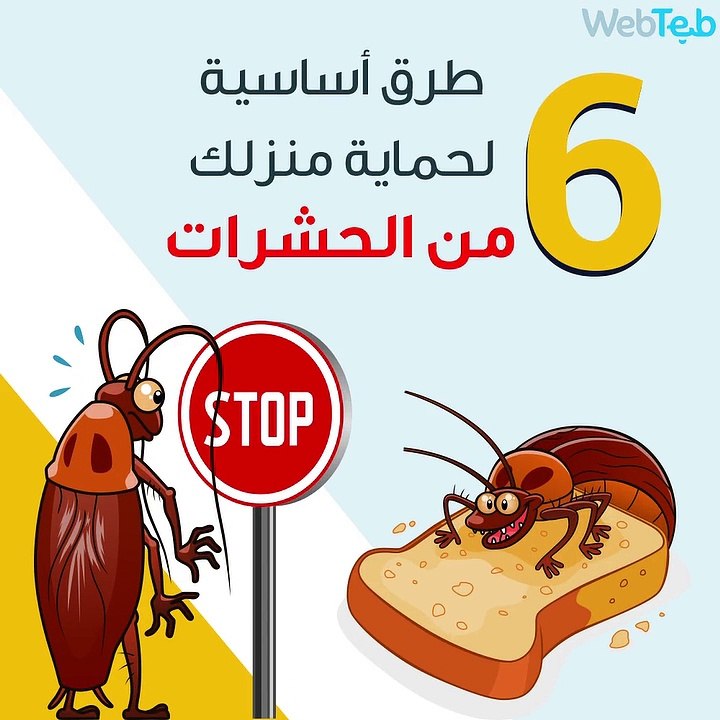 6 طرق أساسية لحماية منزلك من الحشرات