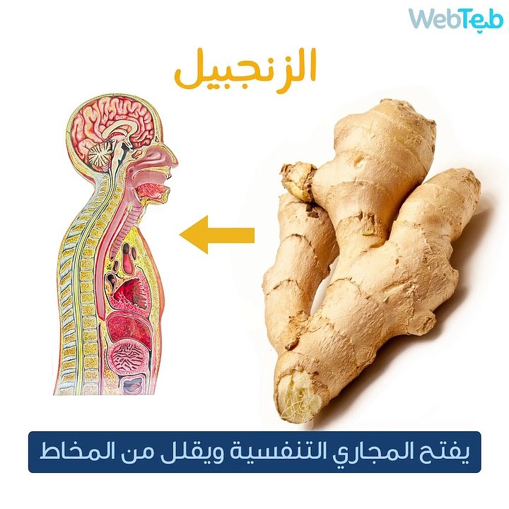أطعمة تناولها وأخرى تجنبها هذا الشتاء!