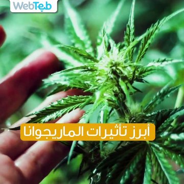 إليكم أبرز تأثيرات الماريجوانا على الدماغ