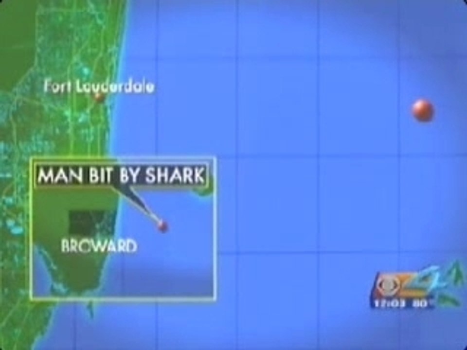 Shark attack