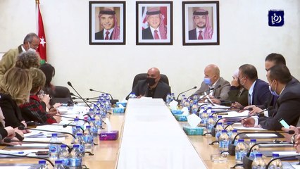 لجنة العمل والتنمية والسكان النيابية.. جهود كبيرة خلال جائحة كورونا