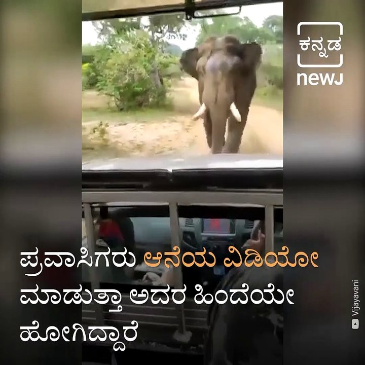 Elephant Charges At Safari Jeep, Driver's Presence Of Mind Save Tourists