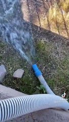 Cleaning the pool