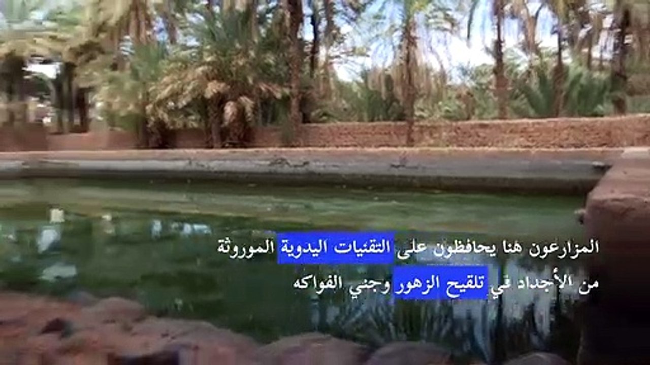 سكان واحة فجيج المغربية متشبثون بنمط عيشهم التقليدي