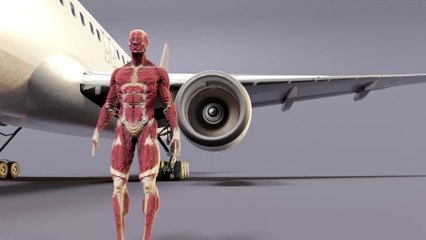 HUMAN BODY vs AIRPLANE ENGINE animation