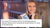 Amandine Petit avantagée pour Miss Univers 2020 ? Elle dispose d'un atout de taille