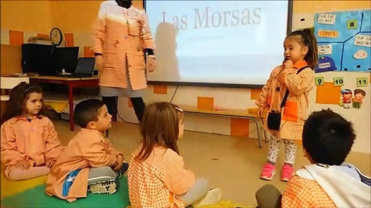 MORSA