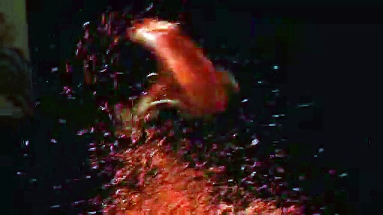 Cirque Plume : Le trampoline avec Osmar Pedro de Souza - spectacle "L'atelier du peintre"(2009-2012)