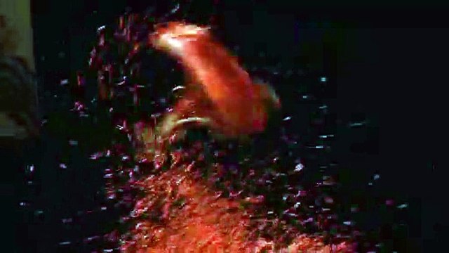 Cirque Plume : Le trampoline avec Osmar Pedro de Souza - spectacle L'atelier du peintre (2009-2012)