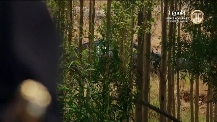 Hercai Capitulo 227 Completo Hercai Capitulo 227 Completo Hercai Capitulo 227 Completo