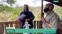 Cultivando Patria 28MAR2021 | Producción de ganado caprino y lácteos en el Aprisco Don Justo en Miranda