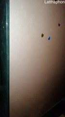 Happy Puppy Likes the Coolness of the Fridge