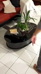 Puppy Plays Keep-a-Way with Owners Slipper