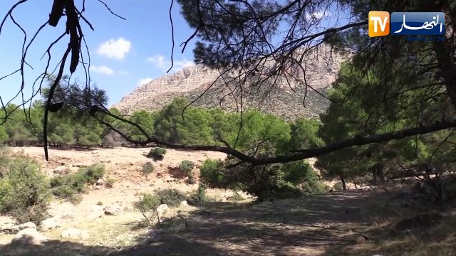 سافر معنا.. أم البواقي