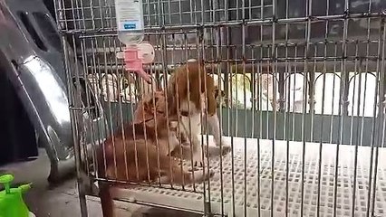 maxmixzi86@gmail.com