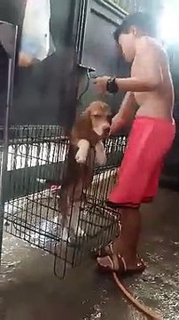 ligo ligo pag may tmy