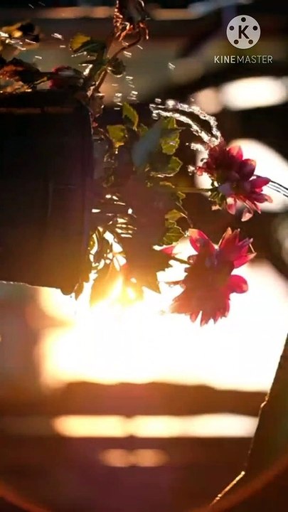 musalano me hanafi deobandi lafz kyu bane | peer zulfiqar ahmad naqshbandi db