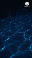 taqleed ki tafseel | peer zulfiqar ahmad naqshbandi db