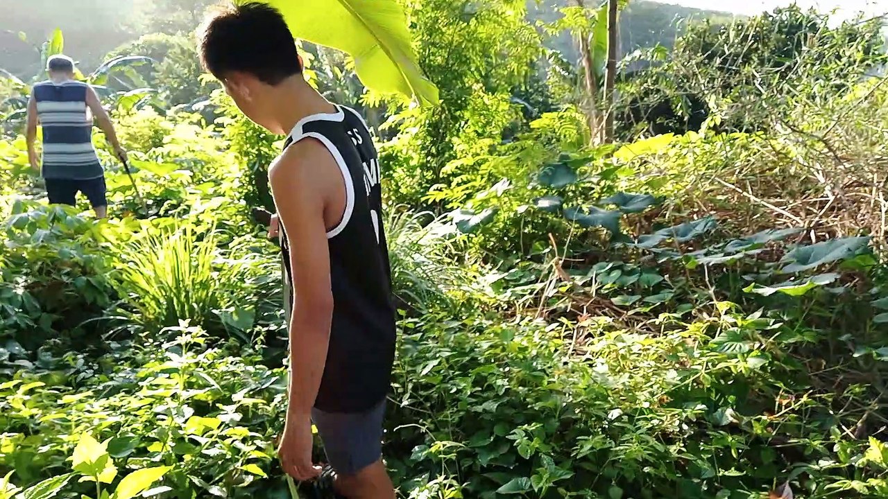 Taong gubat sa Morong