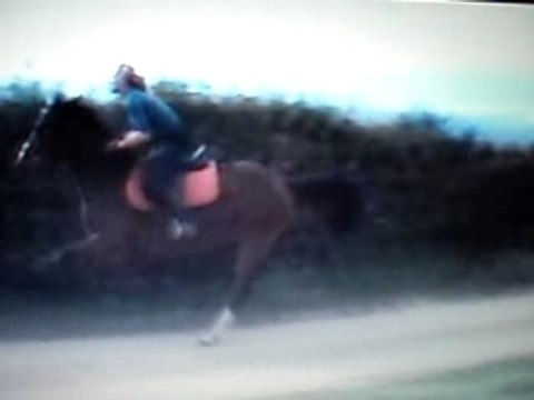 Mise en scène au galop, jument de course réformée
