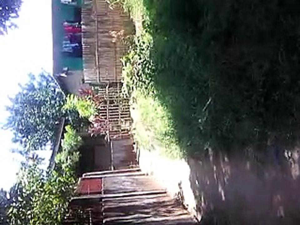 https://www.facebook.com/watch/?v=117420500255291