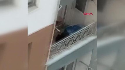 TRABZON Köpeğine şiddet uyguladığı görüntüleri paylaşana açtığı davayı kaybetti