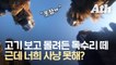 '하늘 위 청소부' 죽음…고기 200㎏, 독수리 식당 연 이유 [영상]