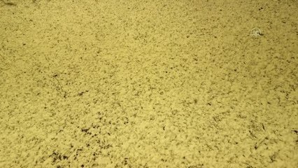 Kar yağışı etkili oldu