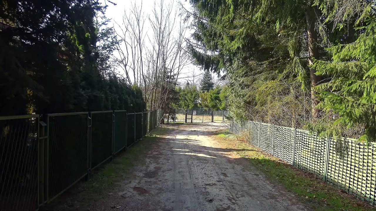 Okuninka jez. Białe 26.03.2021 4K