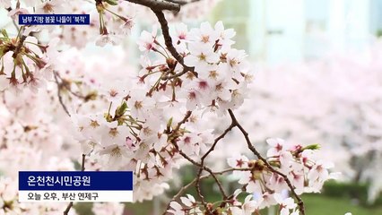 “봄비에 꽃 지기 전에”…벚꽃 명소에 인파 ‘바글바글’