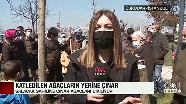 İzinsiz kesilen ağaçların yerine yenileri dikildi