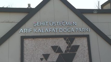 DRONE - Bakan Kurum, Çekmeköy Şehit Üsteğmen Arif Kalafat Doğa Parkı'nı ziyaret etti
