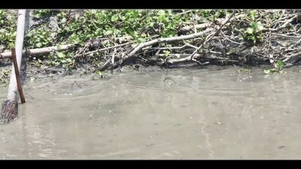 Best Village Fishing Pond With Amazing Chating Fishing Pond   Amazing Hand Fishing Pond