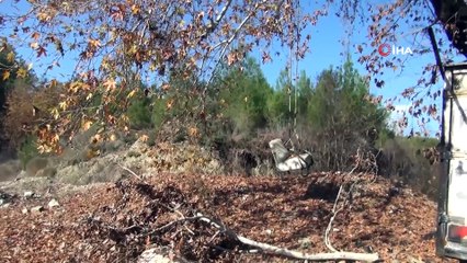 Boşaltılan domuz çiftliğinde insan kafatası bulundu