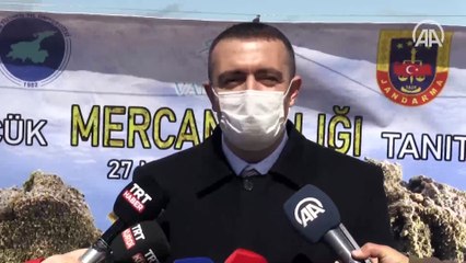 Van Gölü'ndeki balık türünün 'küçük mercan' olduğu tespit edildi