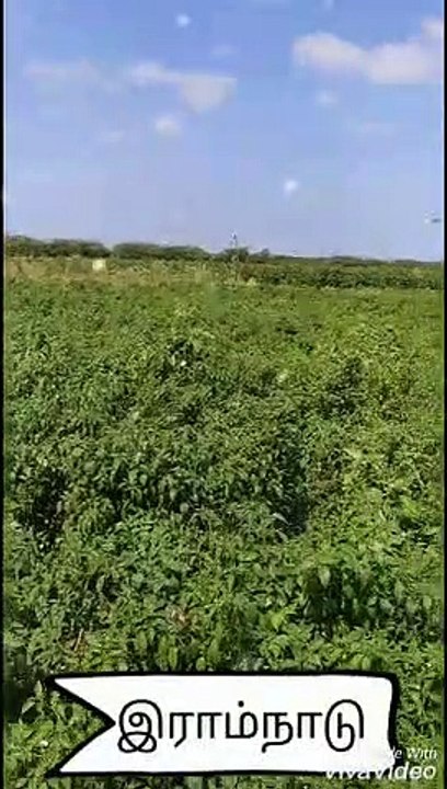 natural video, my creation