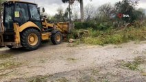 Fırtınada devrilen ağaçlar araçlara zarar verdi
