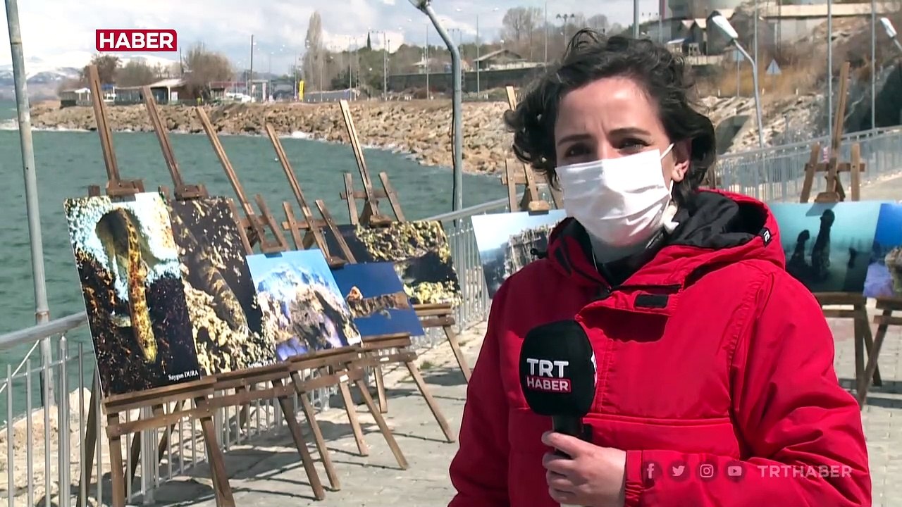 Van Gölü'nde inci kefali dışında ikinci balık türü keşfedildi