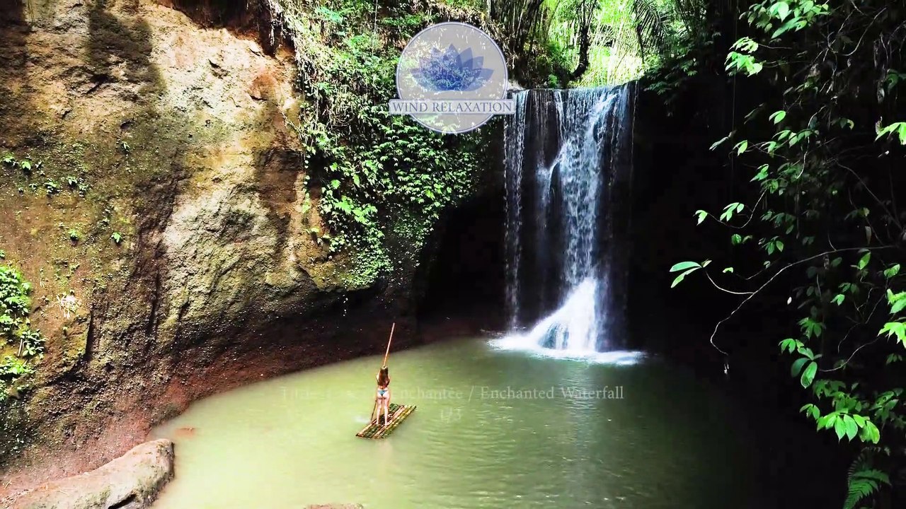 *Cascade Enchantée* Musique avec de la Harpe pour se Relaxer - Voyager - Méditer *Sebastien Duboscq*