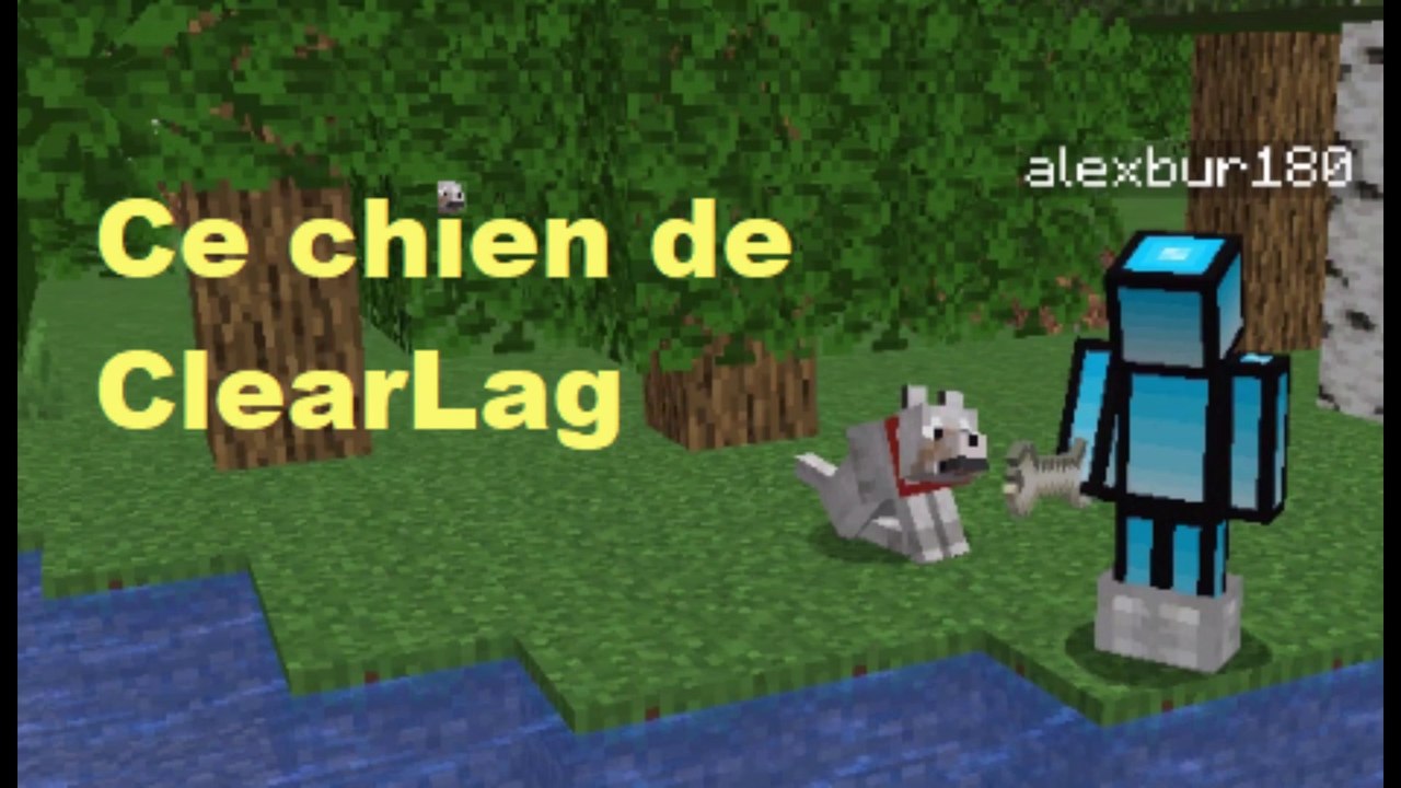 Ce Chien de Clear Lag