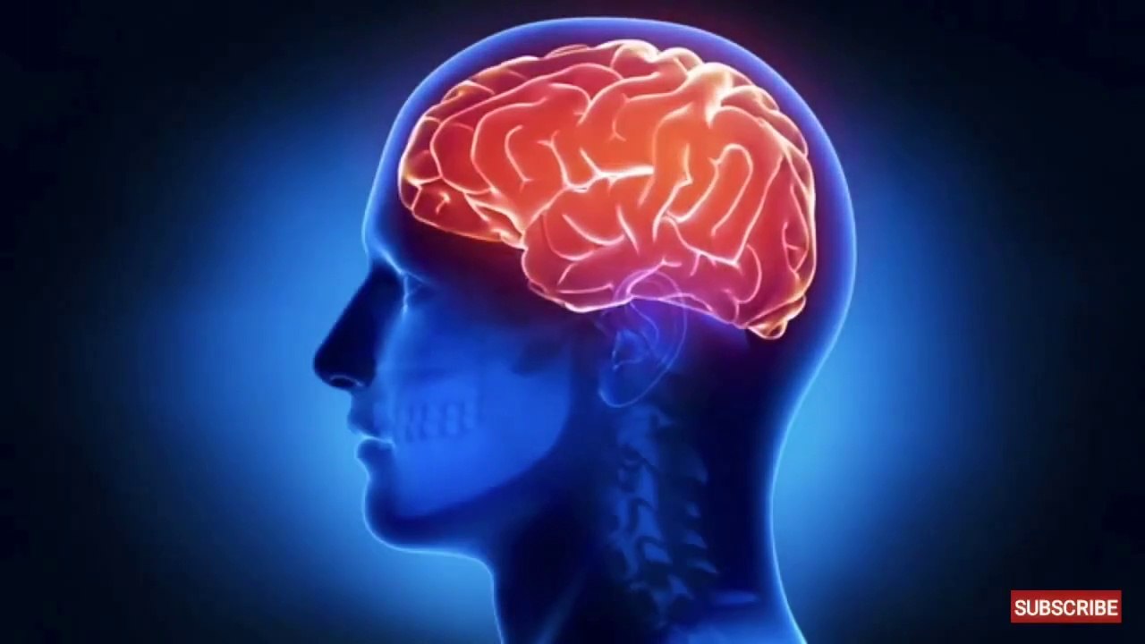 9 Types Of Intelligence In Hindi | How Many You Have?