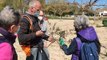 Montfrin : initiation à la taille des oliviers avec Alain Selme