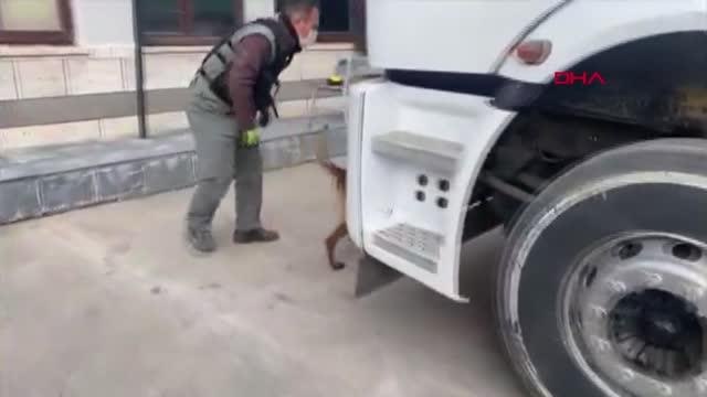 VAN Narkotik köpek 'Magnum'un da katıldığı operasyonda 104 kilo eroin ele geçirildi