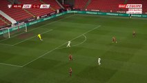Lukas Provod Goal - Czech Republic vs Belgium 1-0 27/03/2021