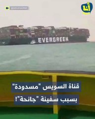 شاهد:كيف هز جنوح سفينة عملاقة احد أهم الممرات المائية في العالم؟