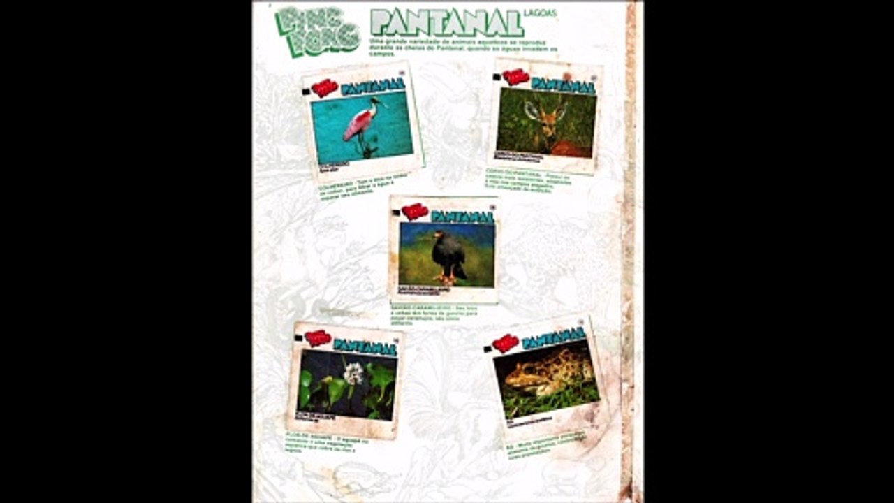 Album Pantanal