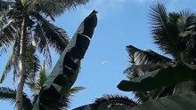 "AIRPLANE"